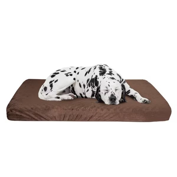 Orthopedic Pet Bed - Egg Crate and Memory Foam with Washable Cover 37x24x4 by Pet Adobe - Brown, Pet Adobe, Mfr#: 395693EOG